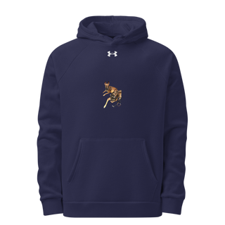 31K 16297588 Under Armour Hoodie