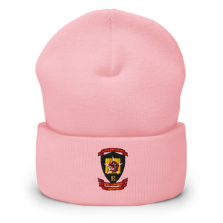 2nd Battalion 5th Marine 36245419 Cuffed Beanie | Yupoong 1501KC