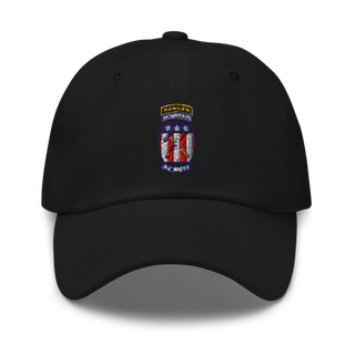 2-47 infantry 3rd BRG 10th MTN 15406658 Classic Dad Hat | Yupoong 6245CM