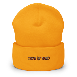 Lockbox Solutions Cuffed Beanie | Yupoong 1501KC