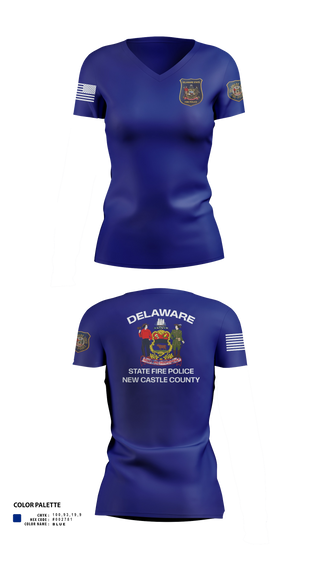 Womens Short Sleeve Vneck Shirt, Delaware State Fire Polic, Police, Teamtime, Team time, sublimation, custom sports apparel, team uniforms, spirit wear, spiritwear, sports uniforms, custom shirts, team store, custom team store, fundraiser sports, apparel fundraiser