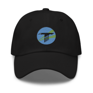 World Famous Black Ravens 41628241 Classic Dad Hat | Yupoong 6245CM