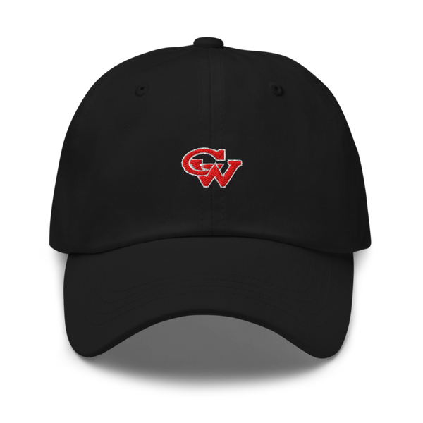 Washington Track & Field 76094298 Classic Dad Hat | Yupoong 6245CM
