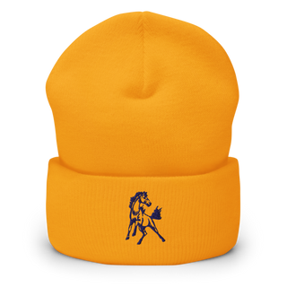 Belle Fourche Volleyball 78454655 Cuffed Beanie | Yupoong 1501KC