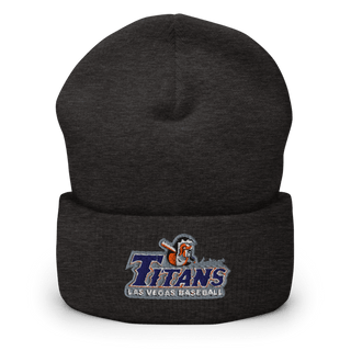Titans Cuffed Beanie | Yupoong 1501KC