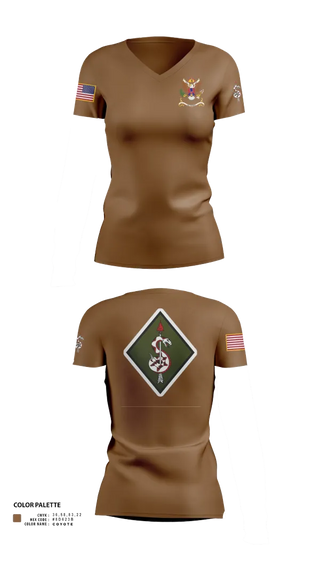 Womens Short Sleeve Vneck Shirt, , National Guard, Teamtime, Team time, sublimation, custom sports apparel, team uniforms, spirit wear, spiritwear, sports uniforms, custom shirts, team store, custom team store, fundraiser sports, apparel fundraiser