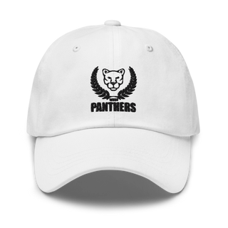 Panthers 50004080 Classic Dad Hat | Yupoong 6245CM
