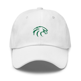 NSU Riverhawks Football 89263546 Classic Dad Hat | Yupoong 6245CM