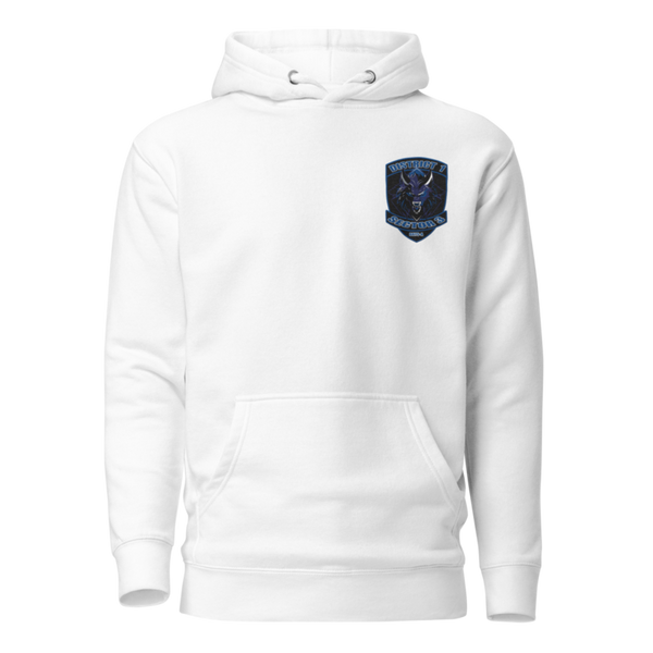 DISTRICT 1 SECTOR 3 60497467 Unisex Premium Hoodie | Cotton Heritage M2580