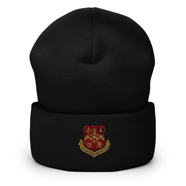 149th fighter Squadron Lone Star Cuffed Beanie | Yupoong 1501KC