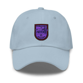 TrspHubschrRgt 10 Classic Dad Hat | Yupoong 6245CM