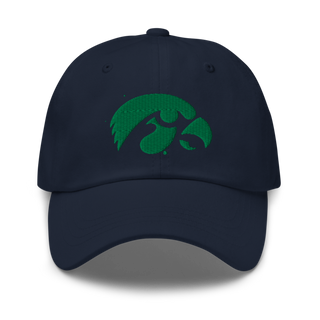D-R Falcons 66653623 Classic Dad Hat | Yupoong 6245CM