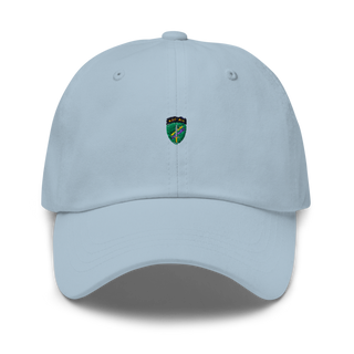 492nd ca bn 48784329 Classic Dad Hat | Yupoong 6245CM