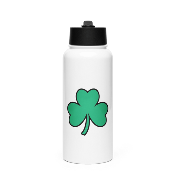 Shamrocks 77851794 Stainless Steel Water Bottle with a Straw Lid