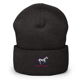 Plaza Park 7264543 Cuffed Beanie | Yupoong 1501KC