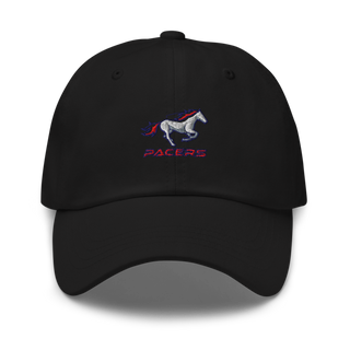 Plaza Park 7264543 Classic Dad Hat | Yupoong 6245CM