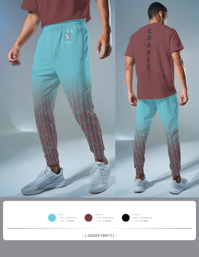 Cranes 67660647 Joggers - 4