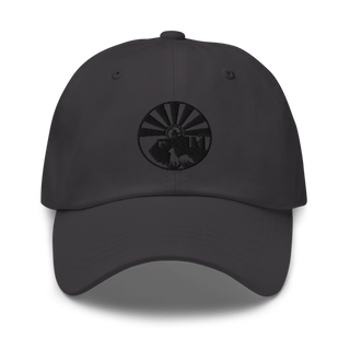 208 Transportation Company 94479647 Classic Dad Hat | Yupoong 6245CM