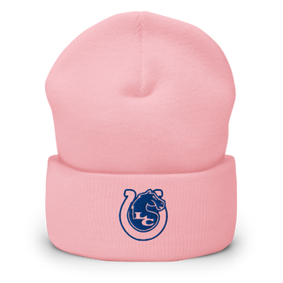 Lodi Colts Football and Cheer 11351906 Cuffed Beanie | Yupoong 1501KC