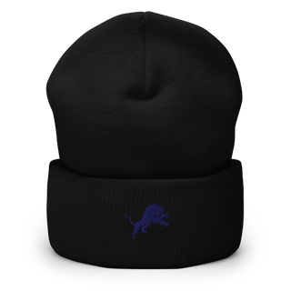 Pope John XXIII Regional High School Basketball 70006632 Cuffed Beanie | Yupoong 1501KC