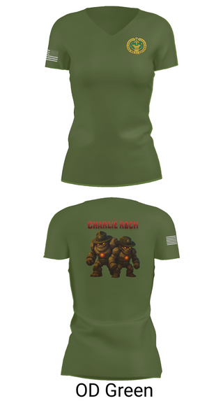 Womens Short Sleeve Vneck Shirt, C 787, , Teamtime, Team time, sublimation, custom sports apparel, team uniforms, spirit wear, spiritwear, sports uniforms, custom shirts, team store, custom team store, fundraiser sports, apparel fundraiser