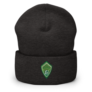 AFC Colorado Dragons 48470583 Cuffed Beanie | Yupoong 1501KC