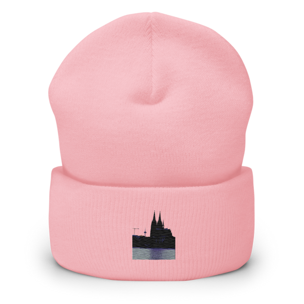 WA1 58063556 Cuffed Beanie | Yupoong 1501KC