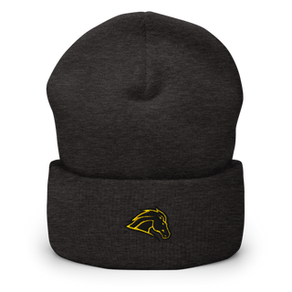 Metea Valley High School Cheer 96396999 Cuffed Beanie | Yupoong 1501KC
