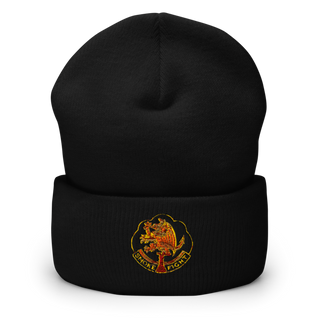 490th CBRN battalion 62890163 Cuffed Beanie | Yupoong 1501KC
