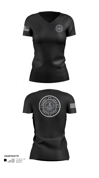 Womens Short Sleeve Vneck Shirt, PA S.I.T.E. STATE AGENTS PRIVATE POLICE, , Teamtime, Team time, sublimation, custom sports apparel, team uniforms, spirit wear, spiritwear, sports uniforms, custom shirts, team store, custom team store, fundraiser sports, apparel fundraiser