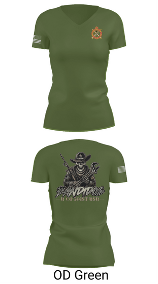 Womens Short Sleeve Vneck Shirt, 501st BSB, B Company, , Teamtime, Team time, sublimation, custom sports apparel, team uniforms, spirit wear, spiritwear, sports uniforms, custom shirts, team store, custom team store, fundraiser sports, apparel fundraiser