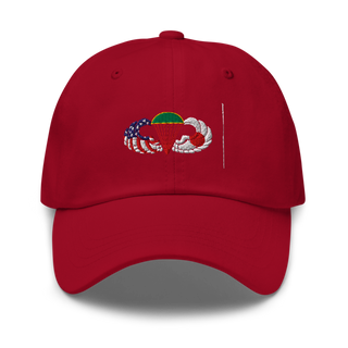 1-1 ASPS 63924306 Classic Dad Hat | Yupoong 6245CM