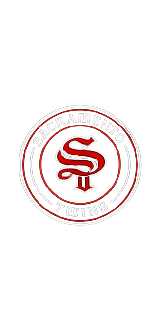 Sacramento Twins Stainless Steel Water Bottle with a Straw Lid
