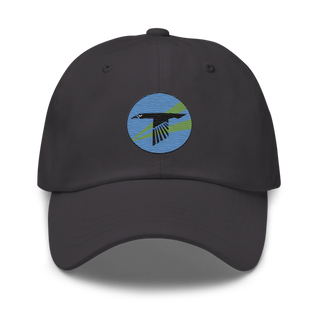 World Famous Black Ravens 41628241 Classic Dad Hat | Yupoong 6245CM