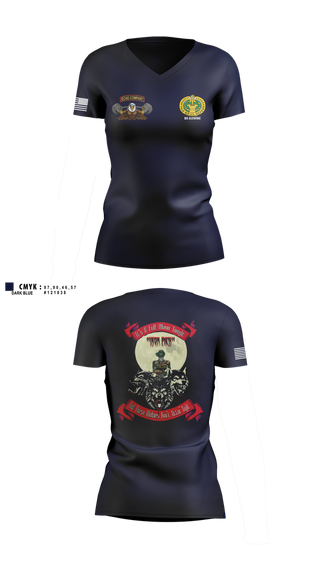 Womens Short Sleeve Vneck Shirt, Echo Company, , Teamtime, Team time, sublimation, custom sports apparel, team uniforms, spirit wear, spiritwear, sports uniforms, custom shirts, team store, custom team store, fundraiser sports, apparel fundraiser