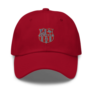 TX HEAT 2370396 Classic Dad Hat | Yupoong 6245CM