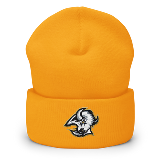 Floyd County Volleyball 77433669 Cuffed Beanie | Yupoong 1501KC