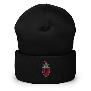 Orchard View High School Cuffed Beanie | Yupoong 1501KC