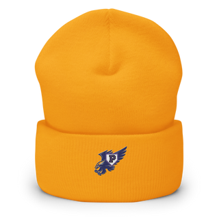 Plainview Little League 37284213 Cuffed Beanie | Yupoong 1501KC