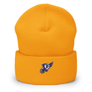 Plainview Hawks 3189173 Cuffed Beanie | Yupoong 1501KC
