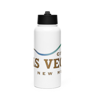 CLV Stainless Steel Water Bottle with a Straw Lid