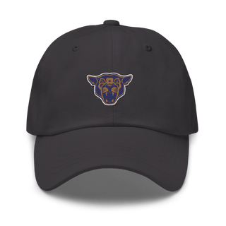 South Mountain Community College Softball 20781572 Classic Dad Hat | Yupoong 6245CM