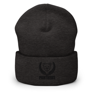 Panthers 50004080 Cuffed Beanie | Yupoong 1501KC