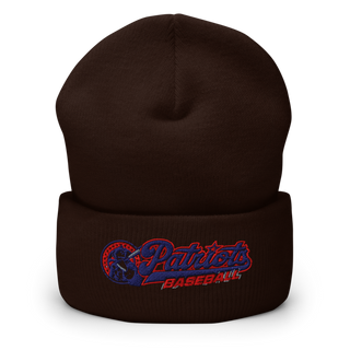 Lenape Valley Patriots 53127834 Cuffed Beanie | Yupoong 1501KC