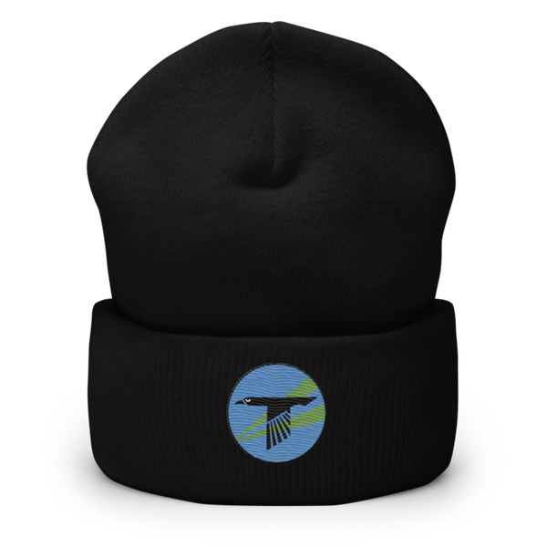 World Famous Black Ravens 41628241 Cuffed Beanie | Yupoong 1501KC