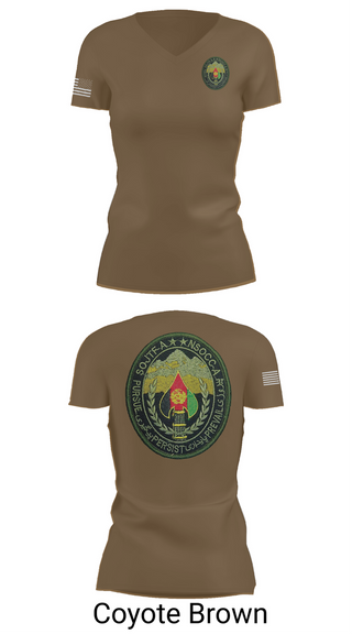 Womens Short Sleeve Vneck Shirt, , , Teamtime, Team time, sublimation, custom sports apparel, team uniforms, spirit wear, spiritwear, sports uniforms, custom shirts, team store, custom team store, fundraiser sports, apparel fundraiser