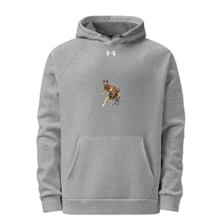 31K 16297588 Under Armour Hoodie