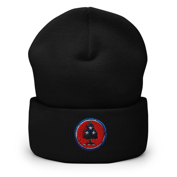 208th MCAS 6752981 Cuffed Beanie | Yupoong 1501KC