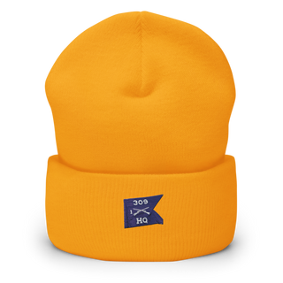 1-309 TSBN 26470529 Cuffed Beanie | Yupoong 1501KC