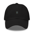 Braham Bombers Dad hat
